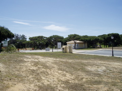 P1010132